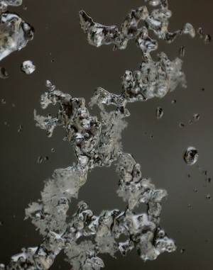 Abs 11_00010
